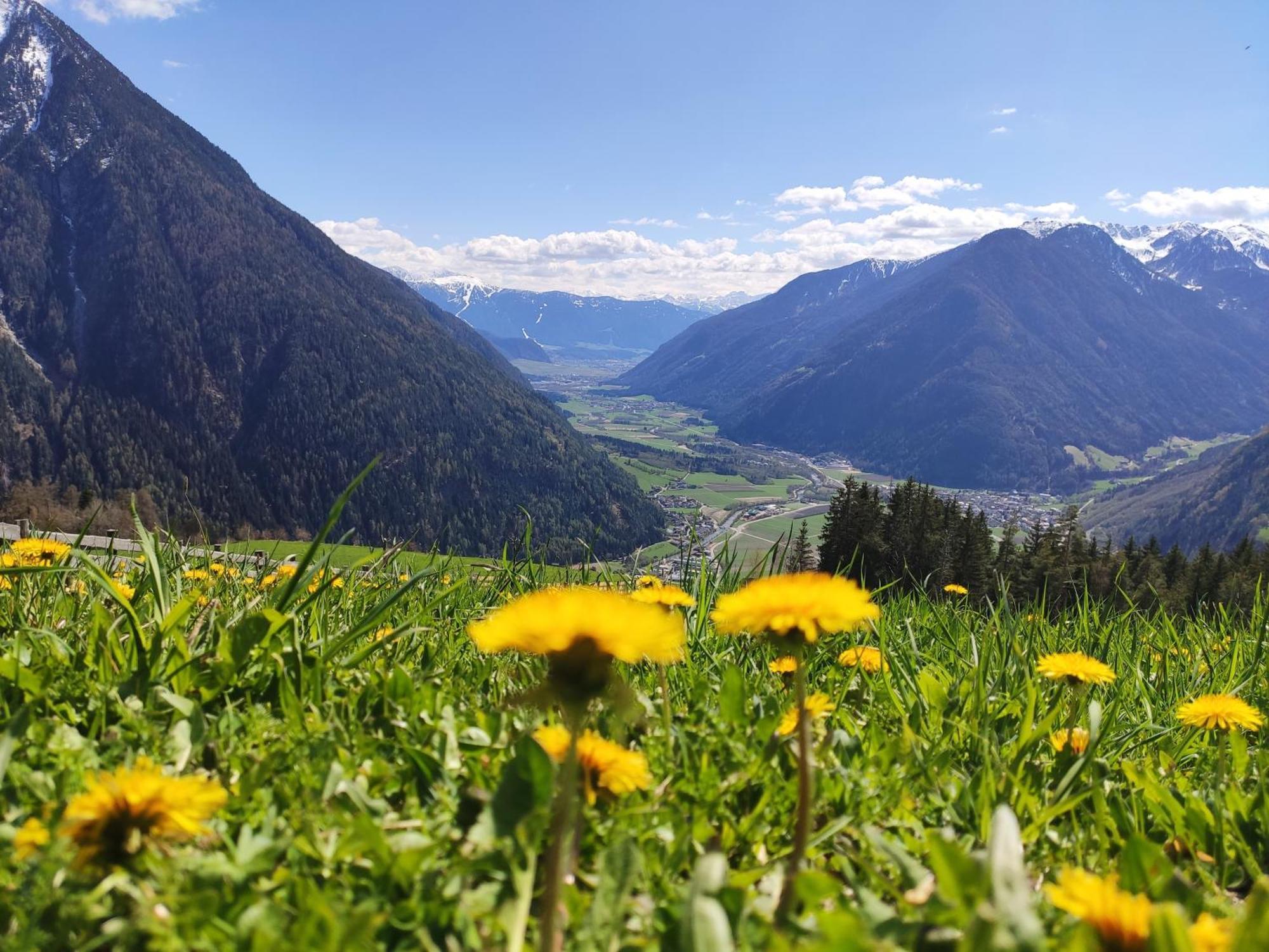 Aparthotel Roanerhof Campo Tures Zewnętrze zdjęcie